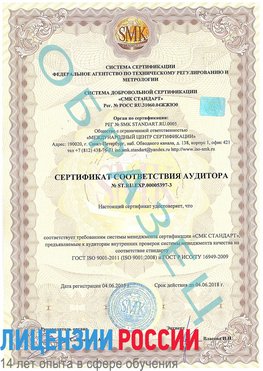 Образец сертификата соответствия аудитора №ST.RU.EXP.00005397-3 Зима Сертификат ISO/TS 16949
